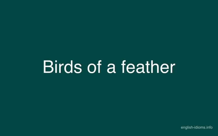 FEATHER IDIOM MEANING visual data 4