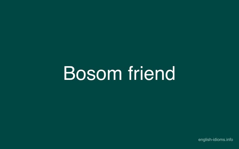 bosom friend essay in english