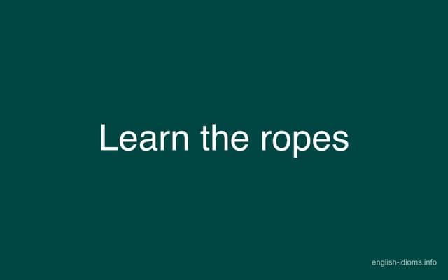 Learning The Ropes Example Sentence Learn the ropes