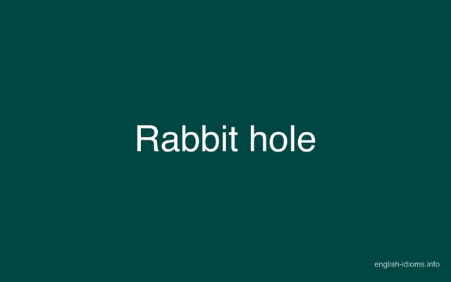 Questions Rabbit Hole Rabbit hole